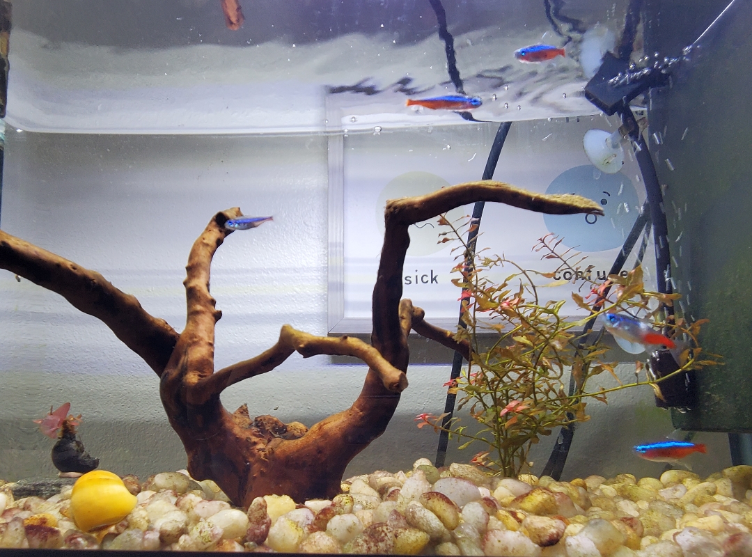 Tank Image