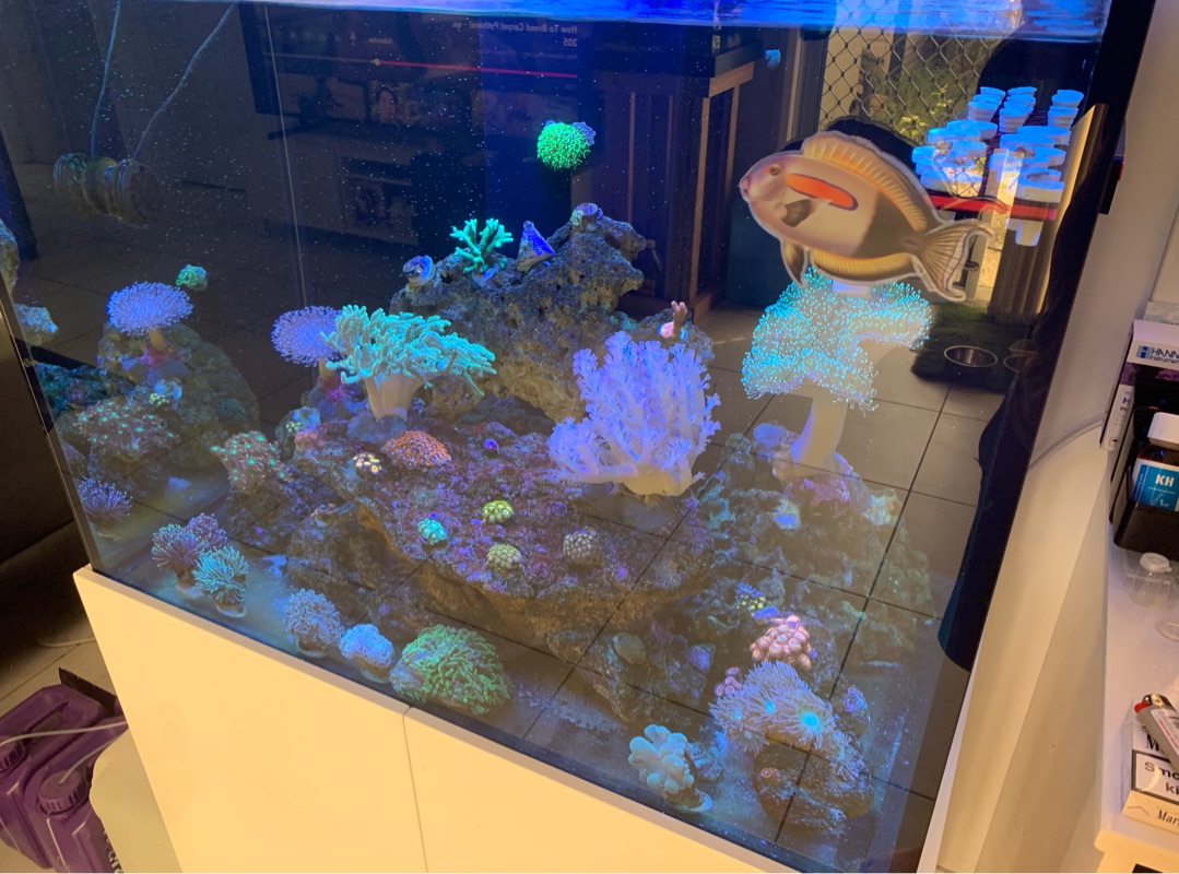 Tank Image