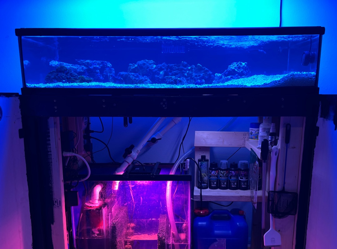 Tank Image