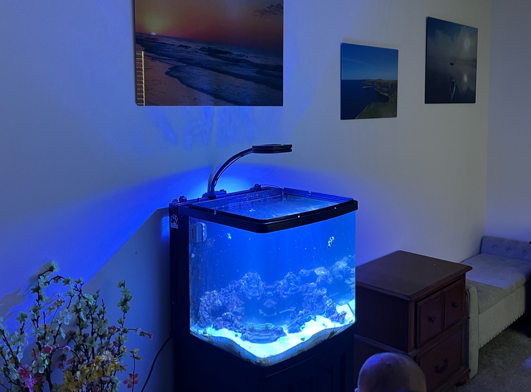 Tank Image