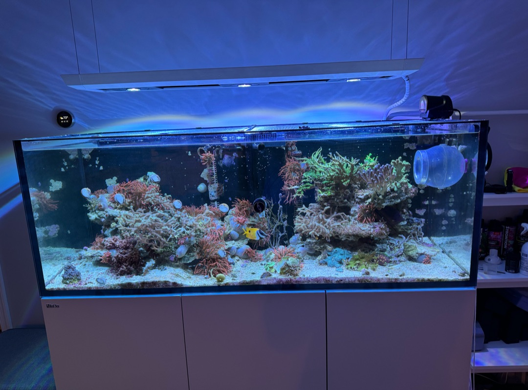 Tank Image