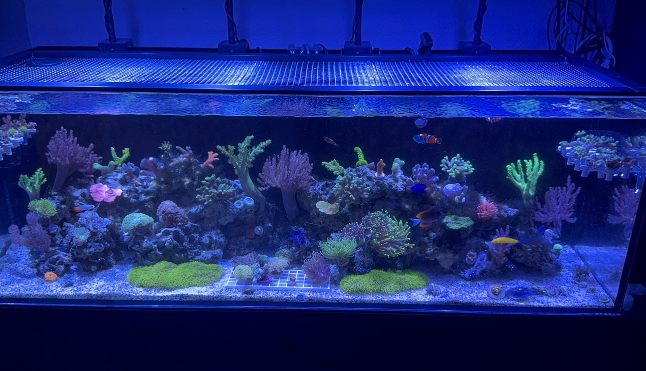 Tank Image