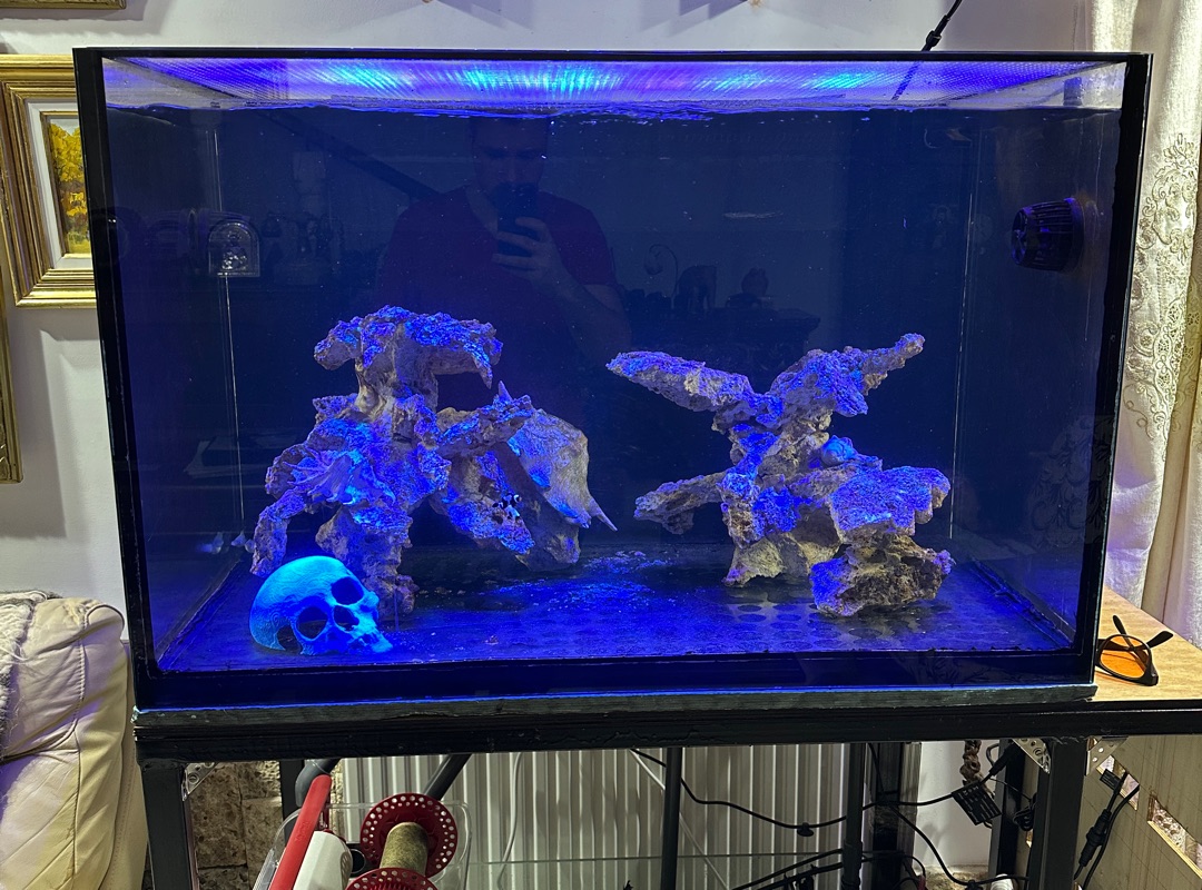 Tank Image