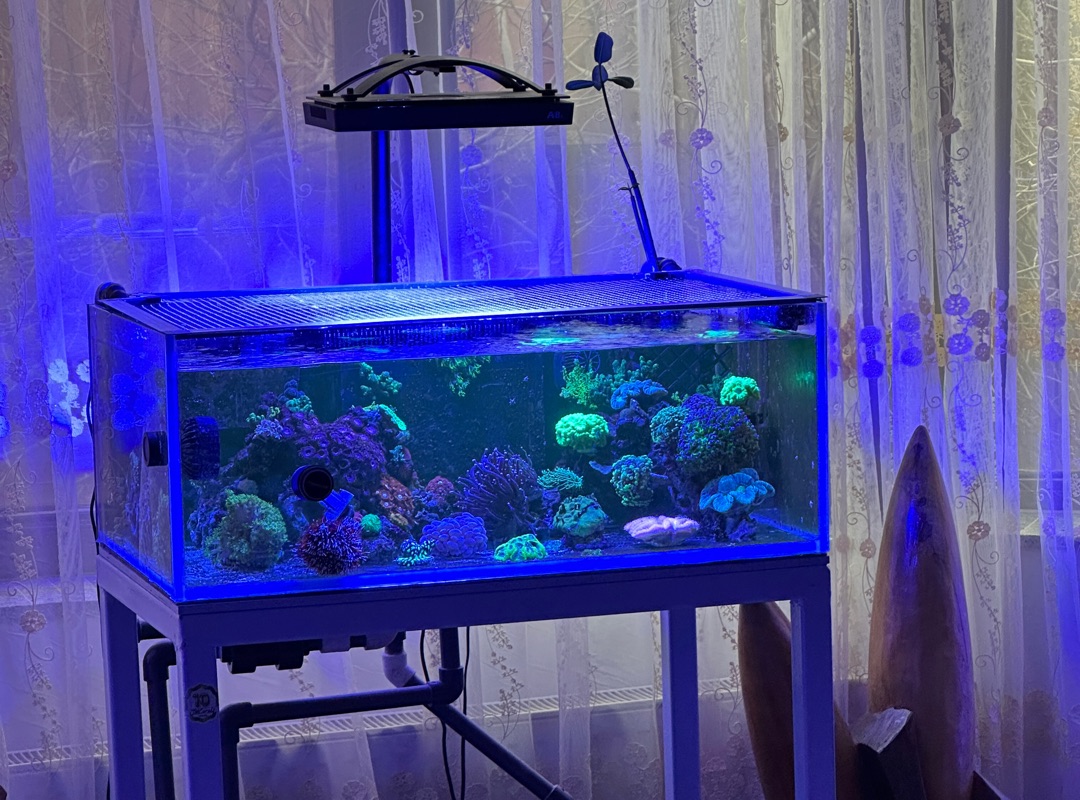 Tank Image