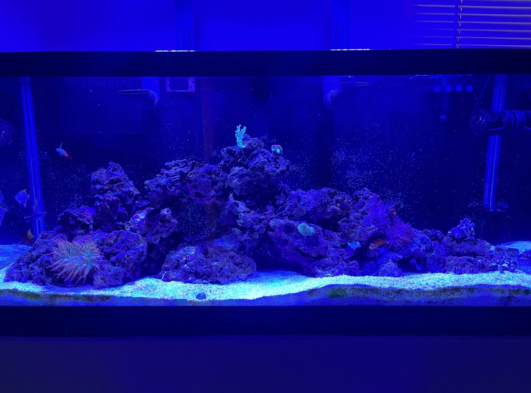 Tank Image