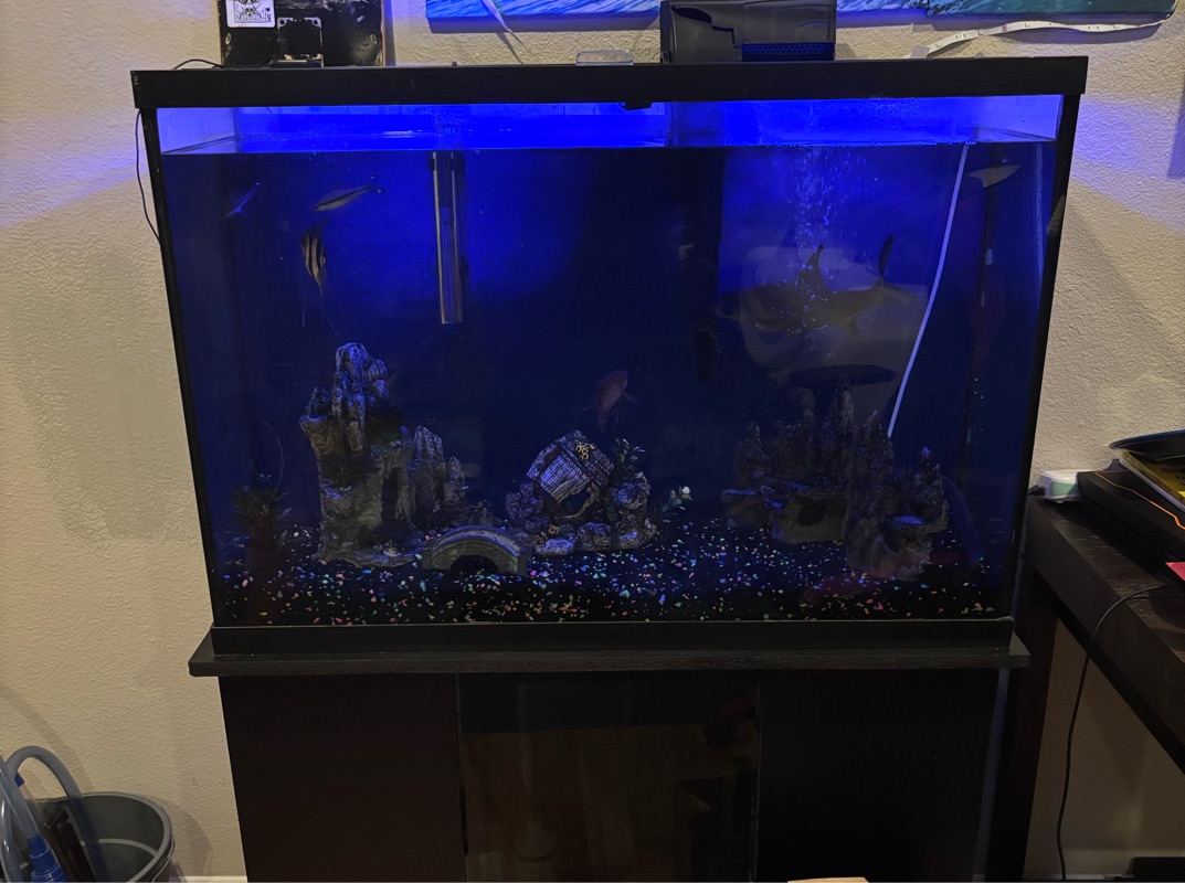 Tank Image