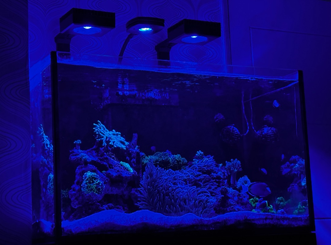 Tank Image