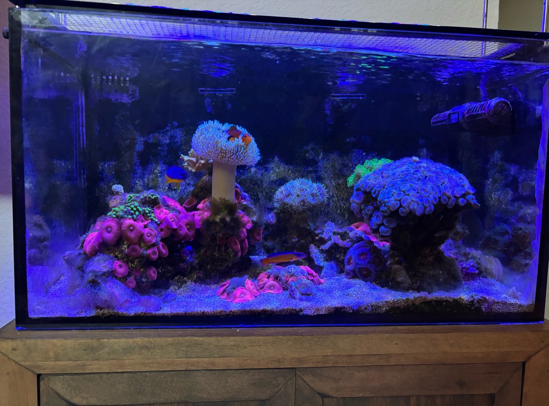 Tank Image