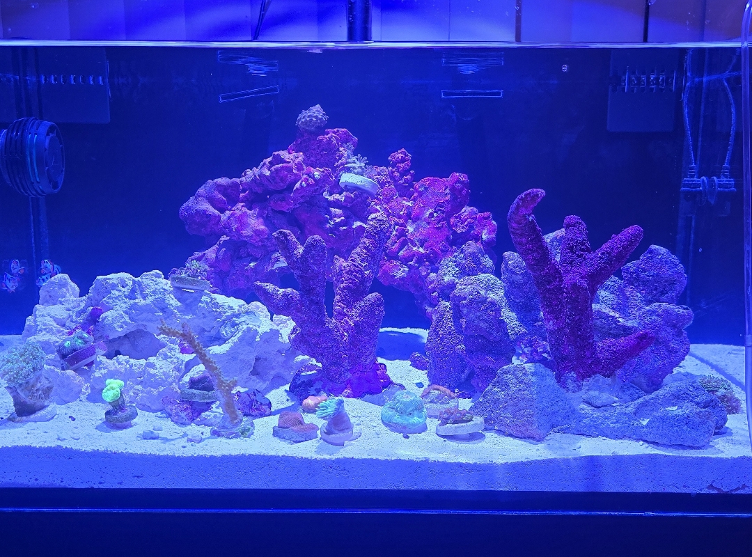 Tank Image
