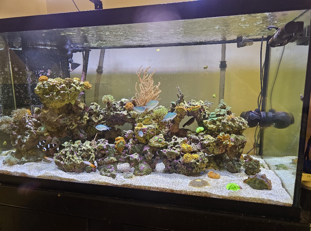 Tank Image