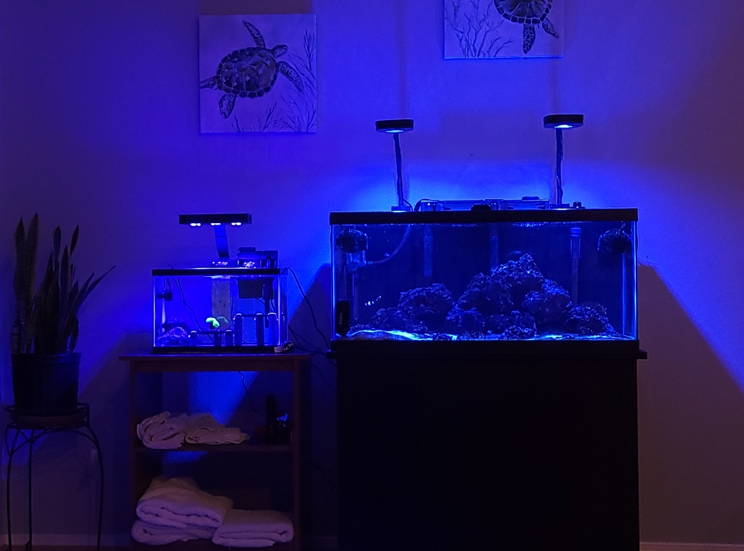 Tank Image