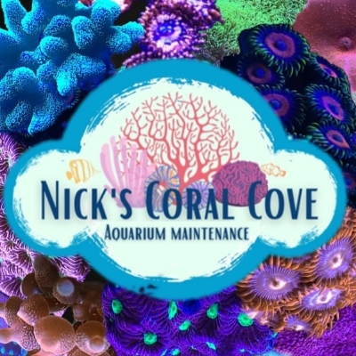 NicksCoralCove383
