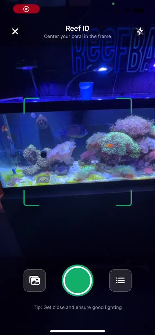 🚀 Reef ID - Vorstellung 🚀 Reef ID kann 200+ Arten von Meerwasserfisc...