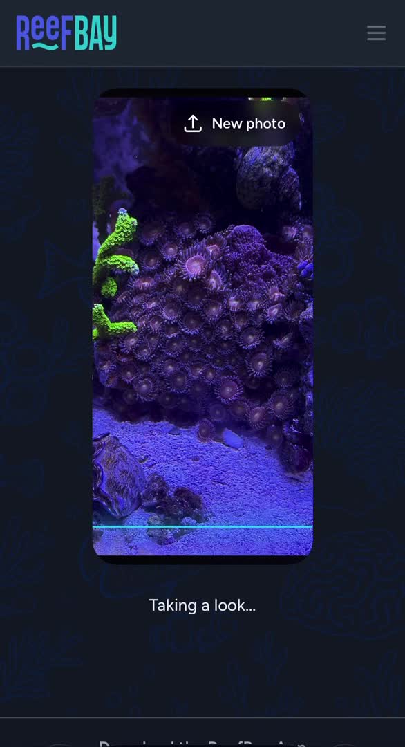 **Zoanthid Morph Identification is now LIVE**

Zoa ID will live in the Library Tab. Check...