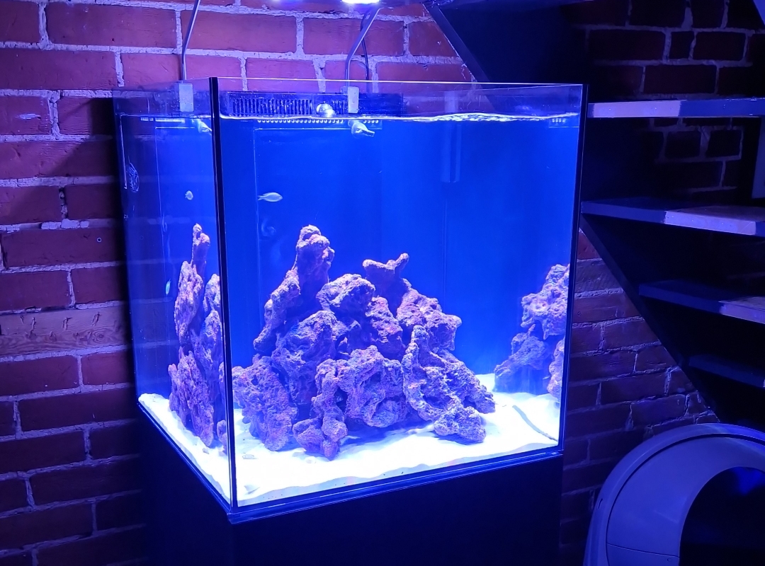 Tank Image