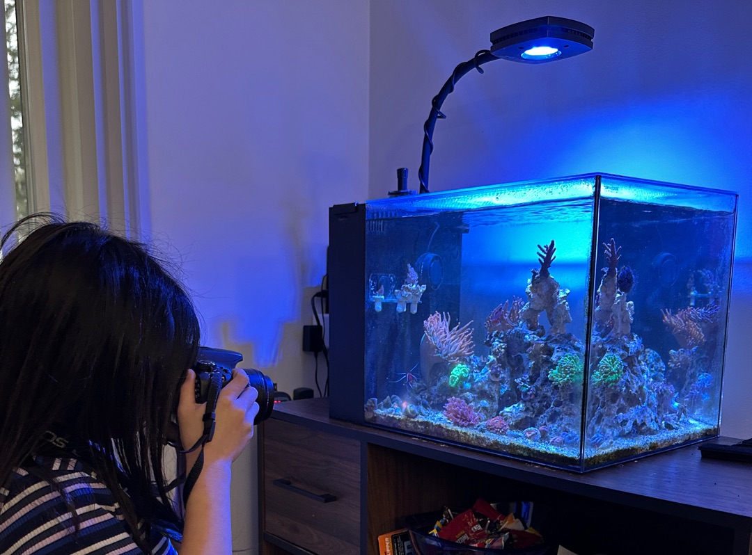 Tank Image