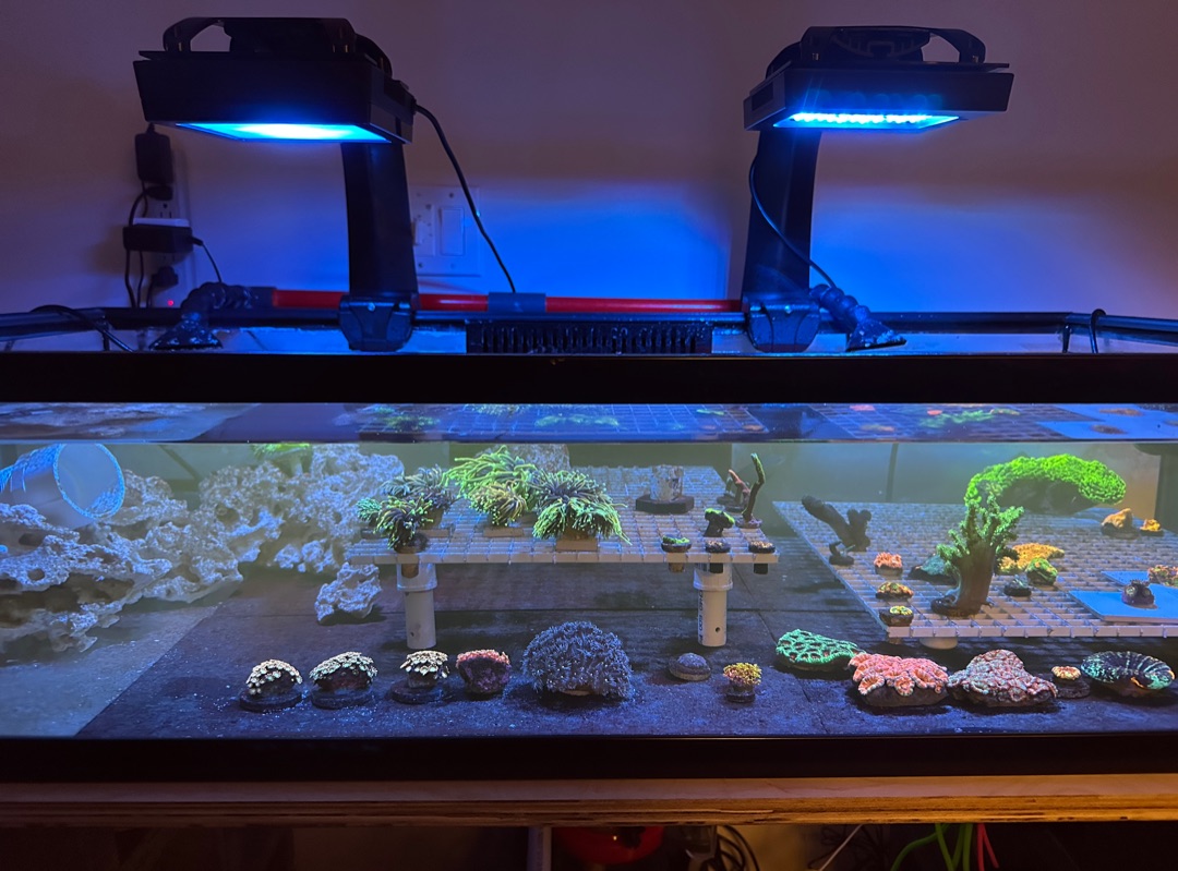 Tank Image