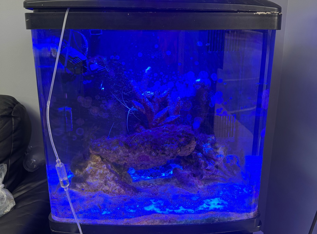 Tank Image