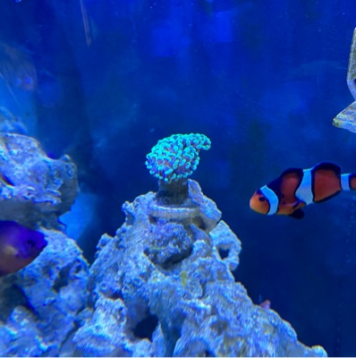 AlejandroTrujillo959