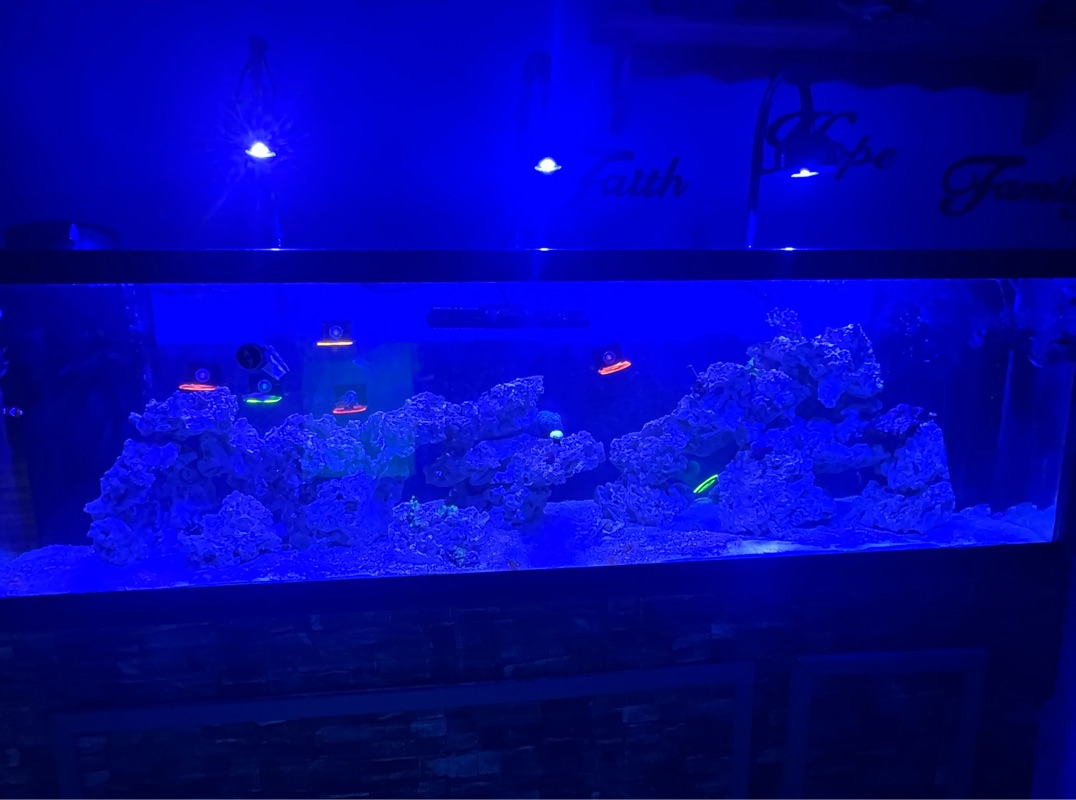 Tank Image