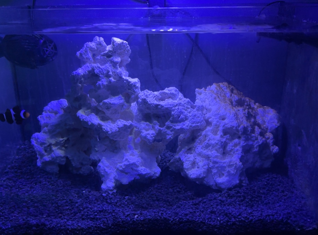 Tank Image