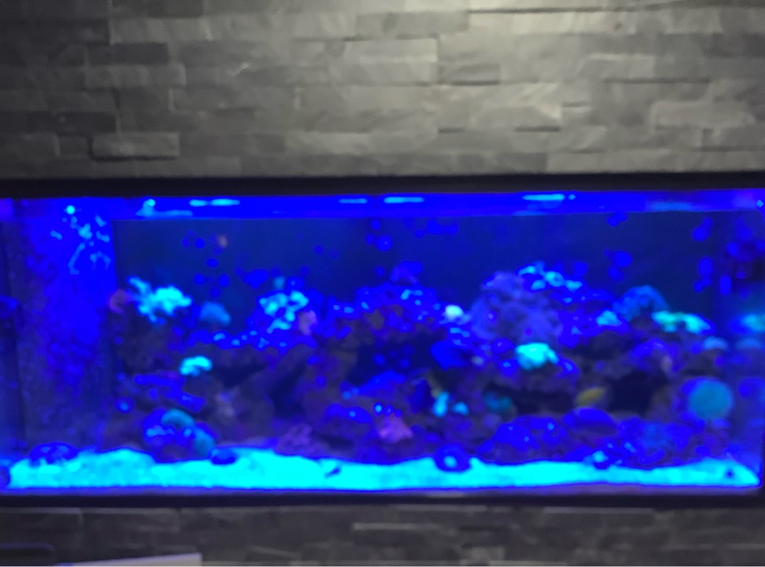 Tank Image