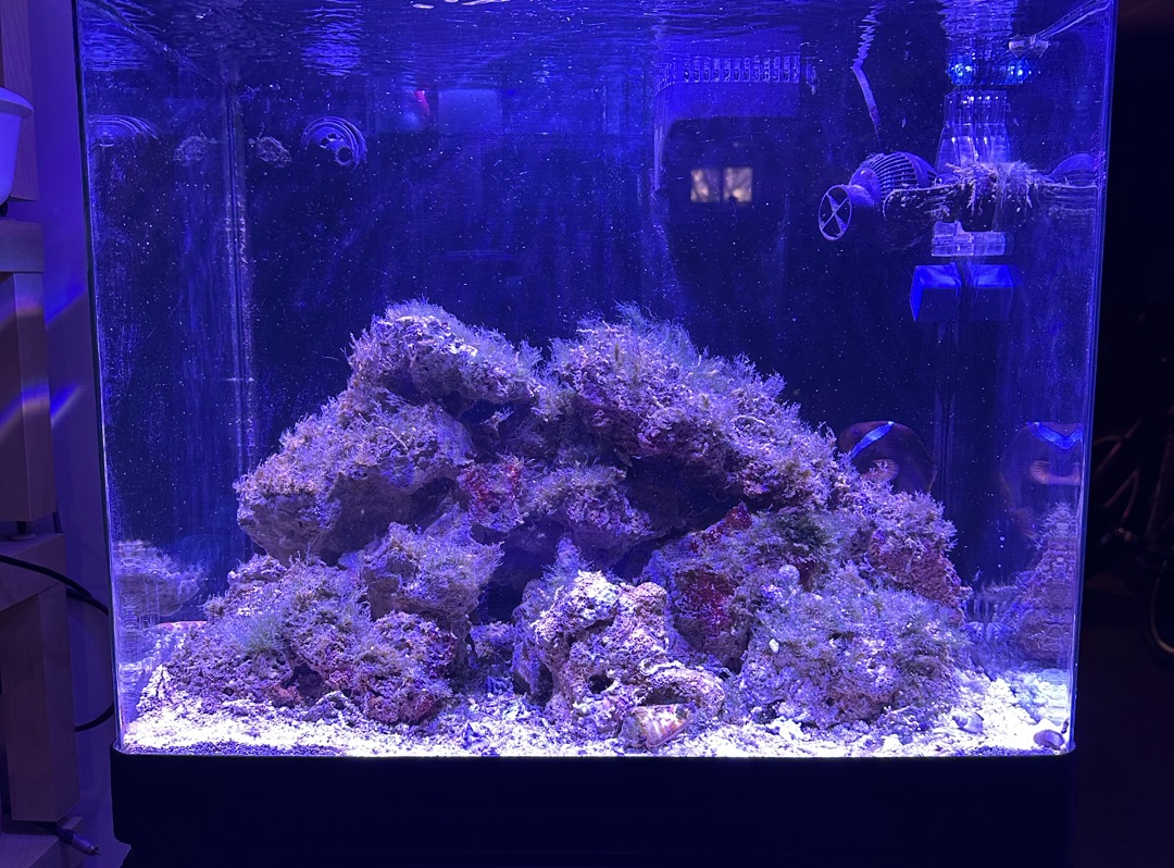 Tank Image