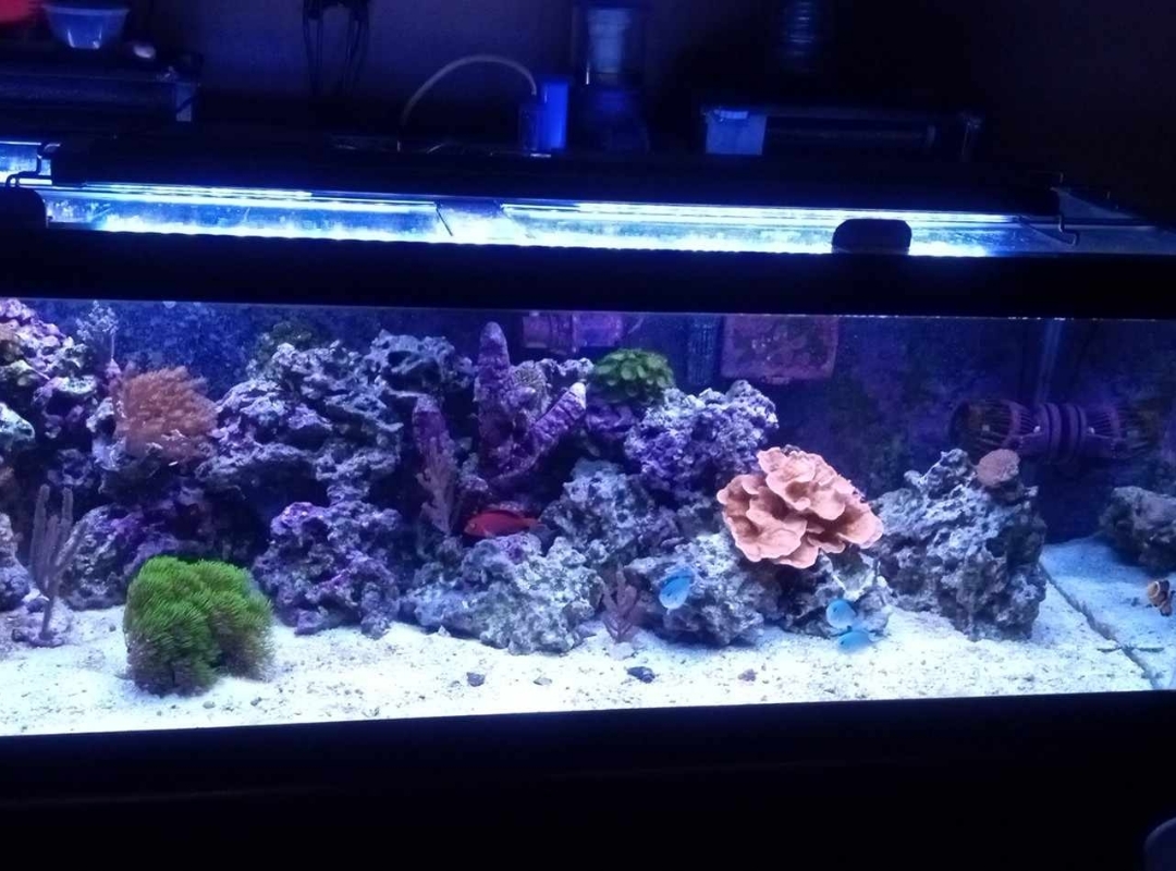Tank Image