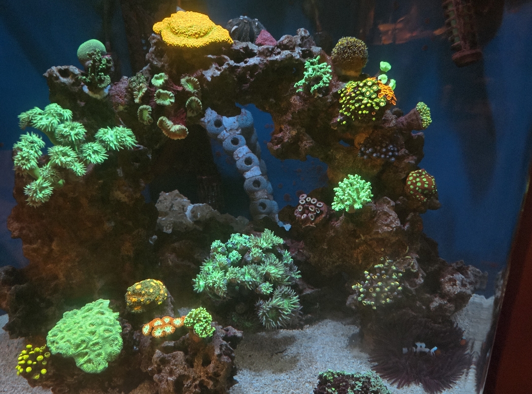 Tank Image