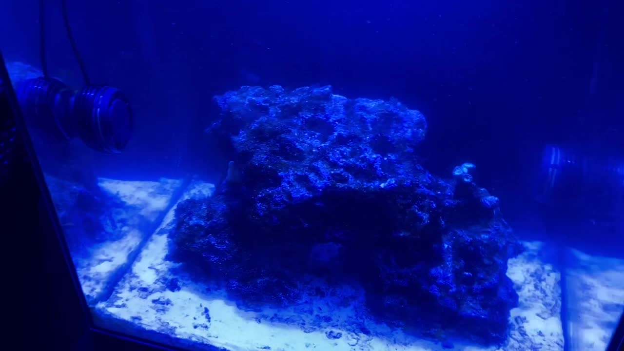Im really struggling with wavemaker placement hoping for som... | ReefBay