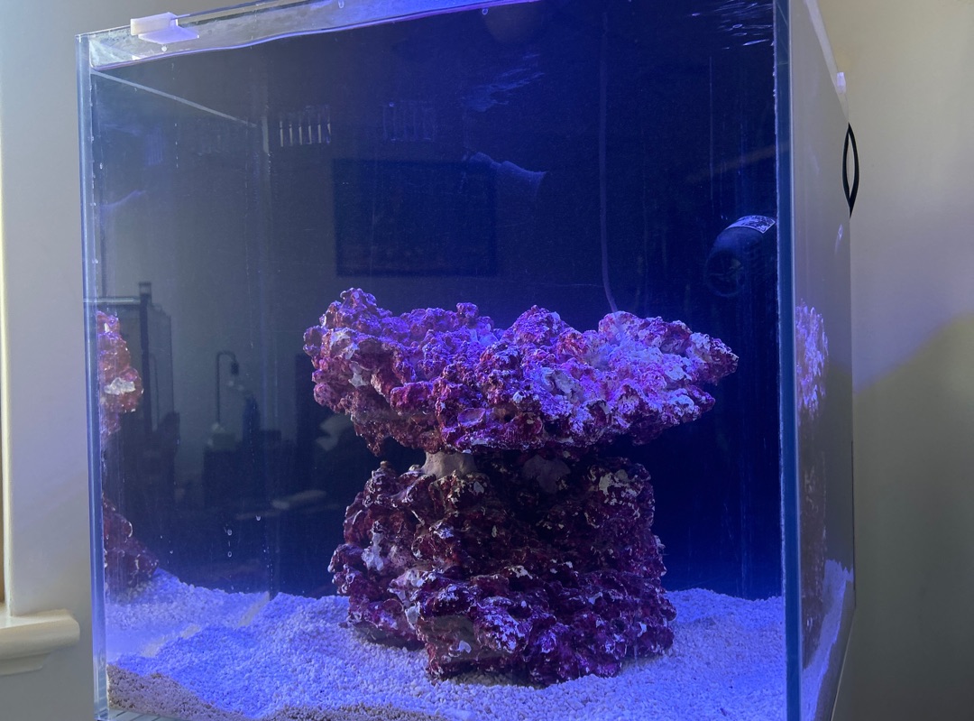 Tank Image
