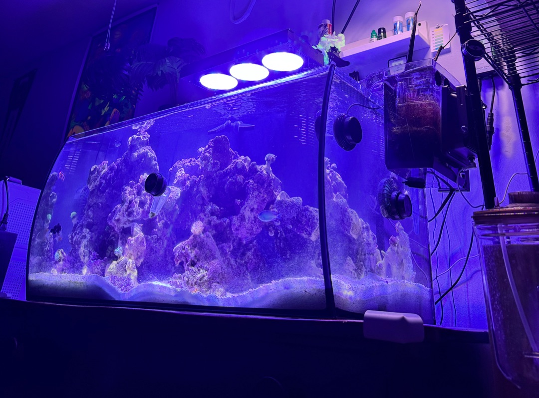 Tank Image