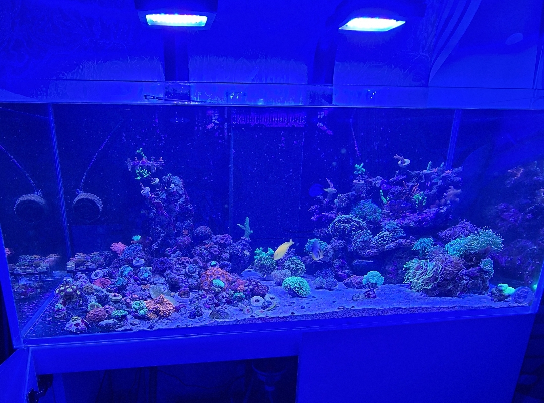 Tank Image
