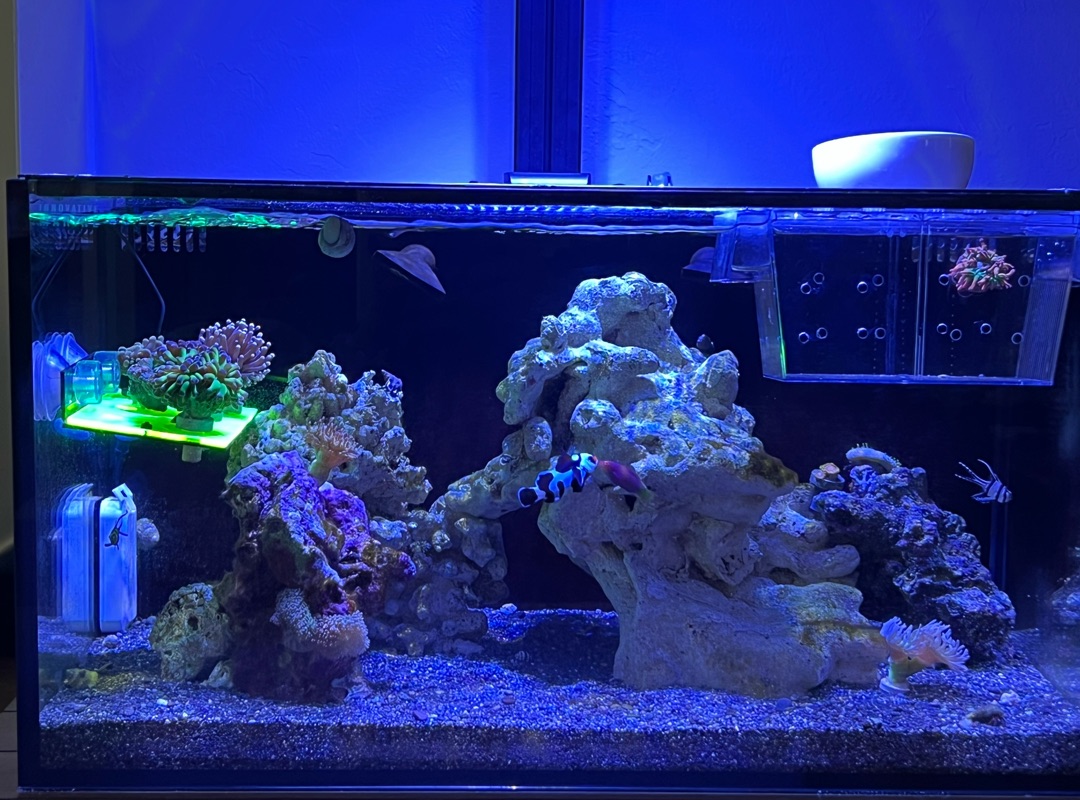 Tank Image