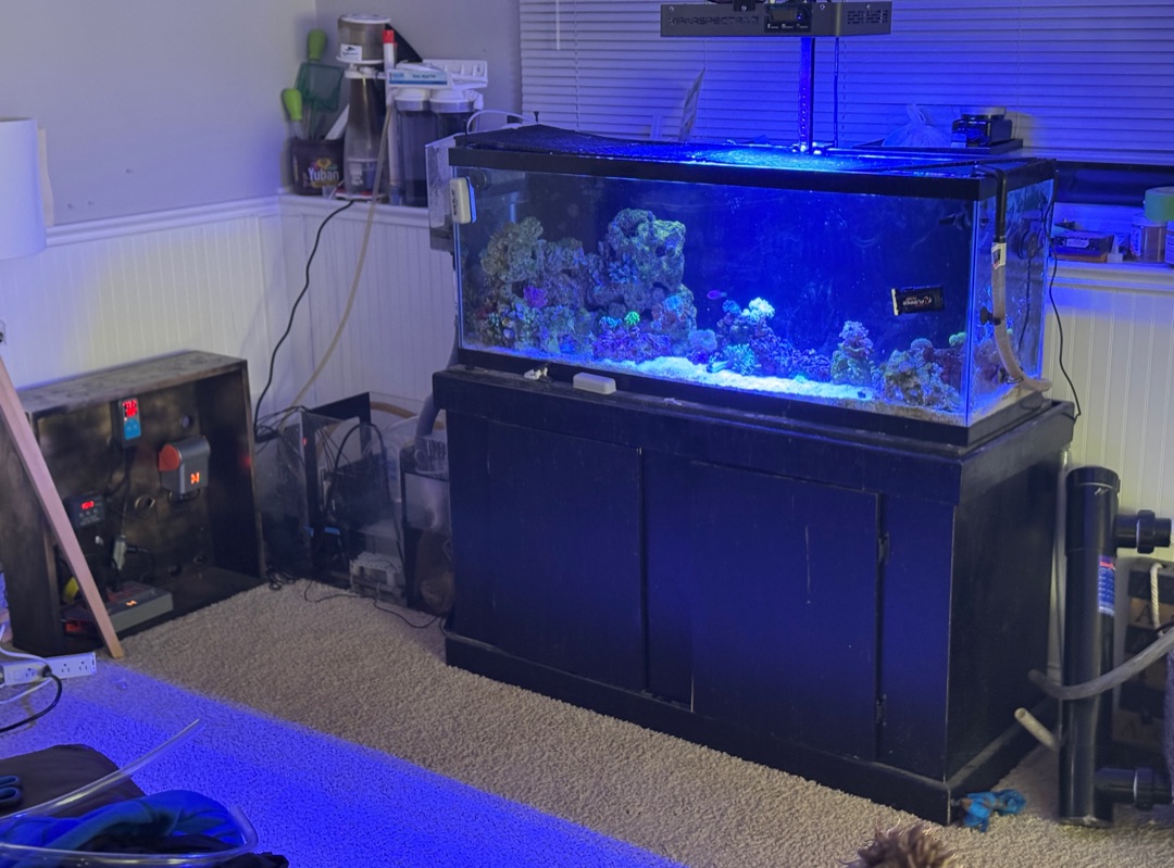 Tank Image
