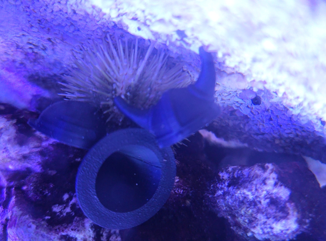 Tank Image