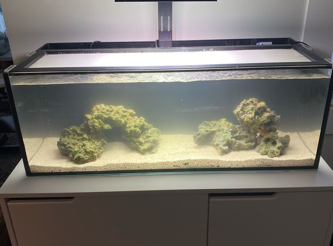 Tank Image