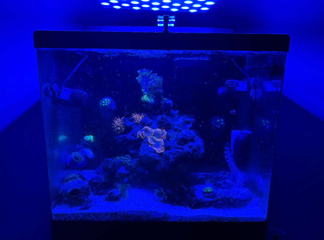 Tank Image