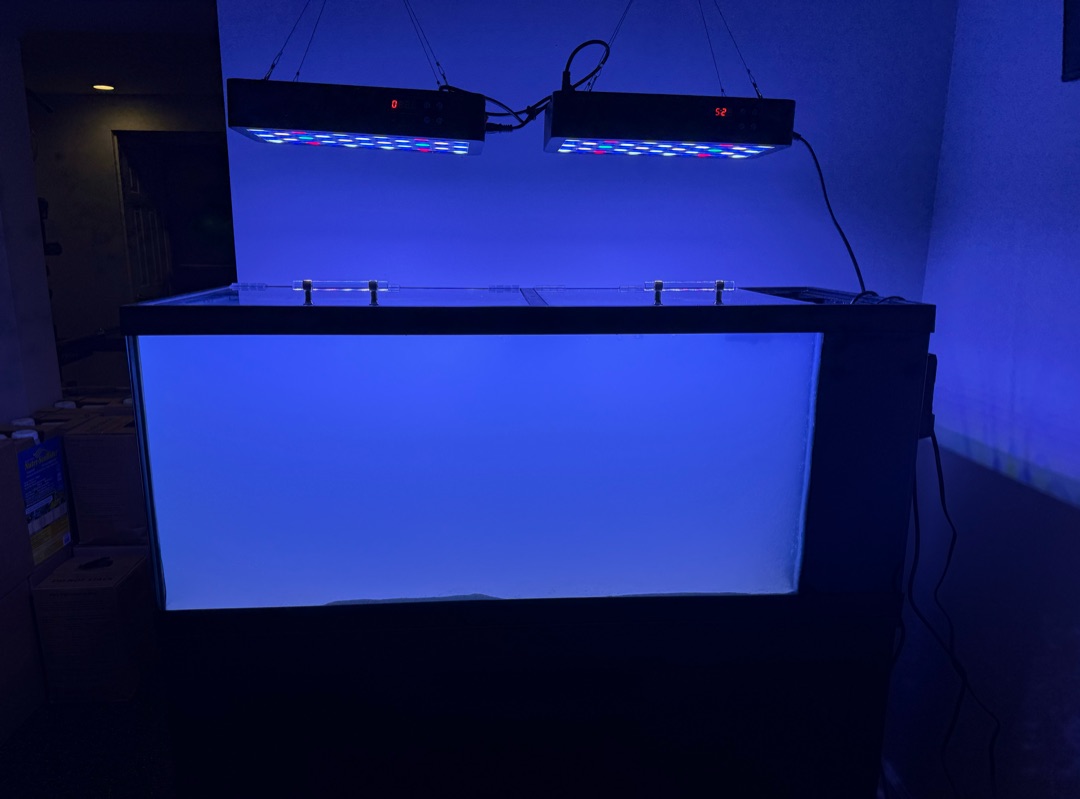 Tank Image