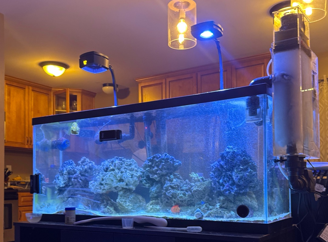 Tank Image