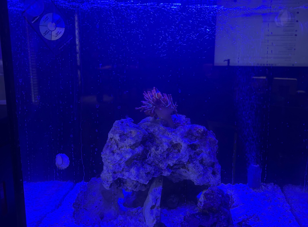 Tank Image