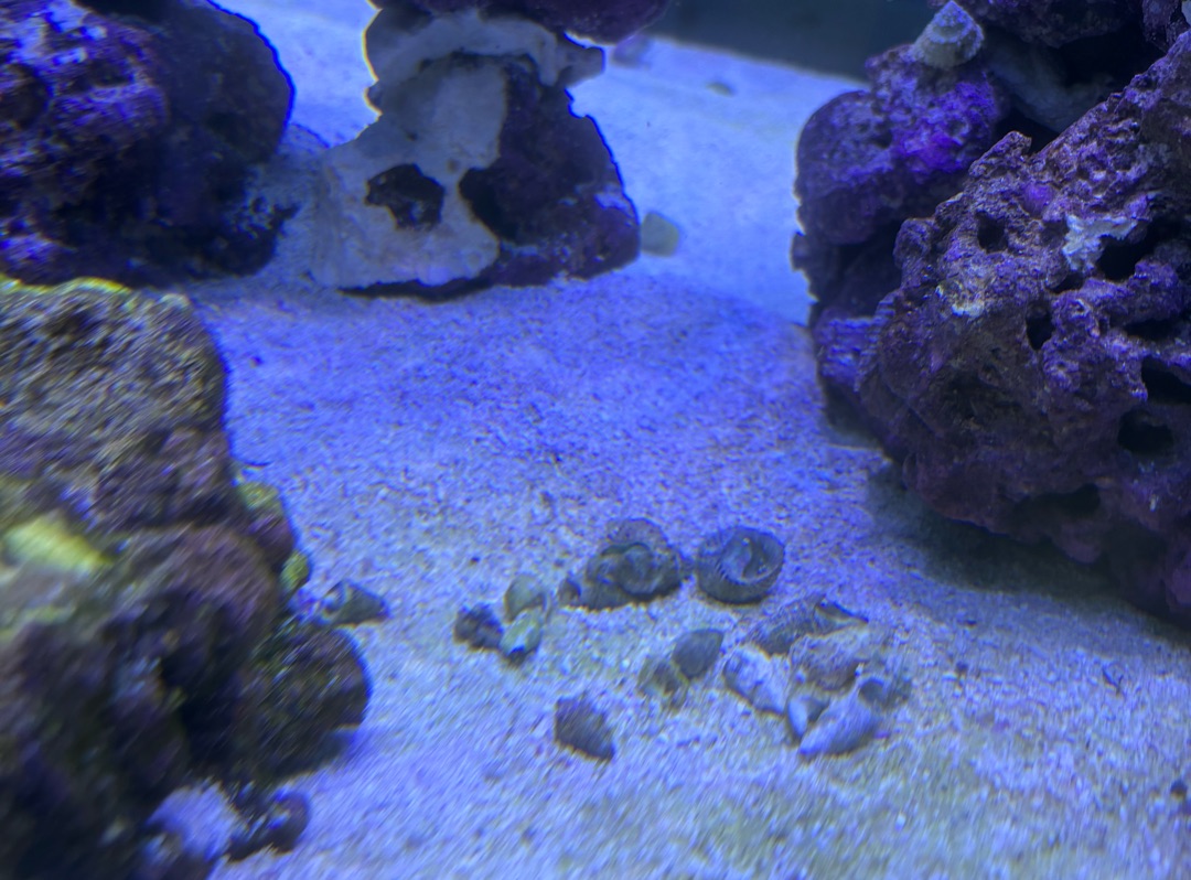 Tank Image