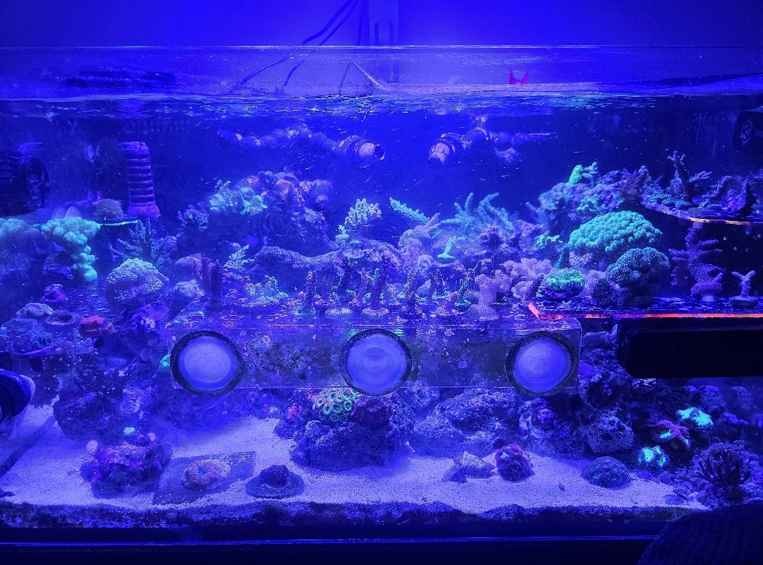 Tank Image