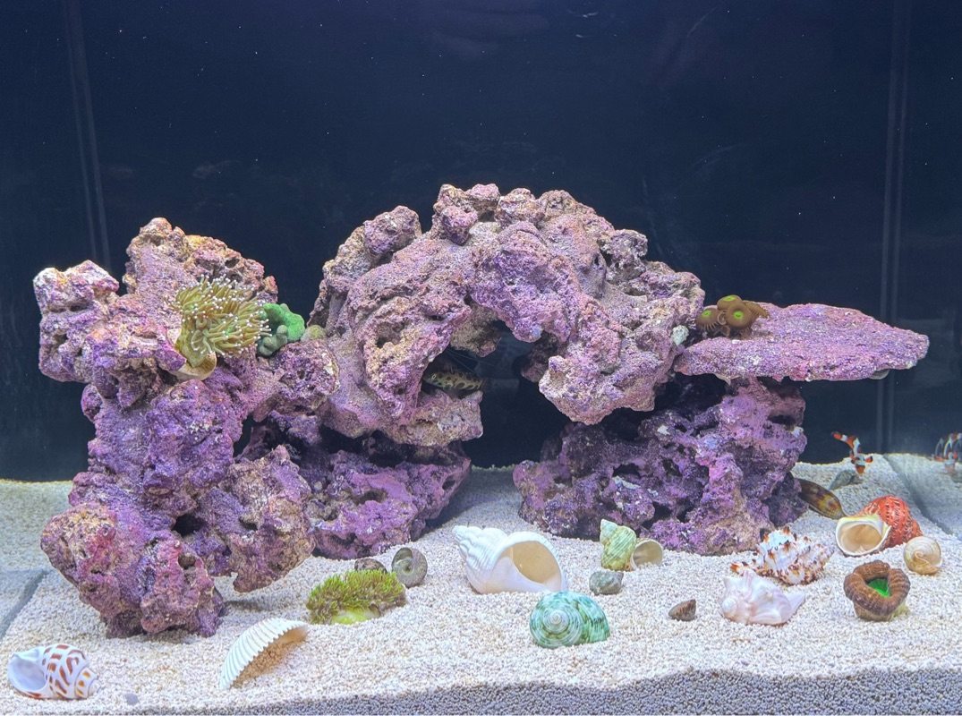 Tank Image