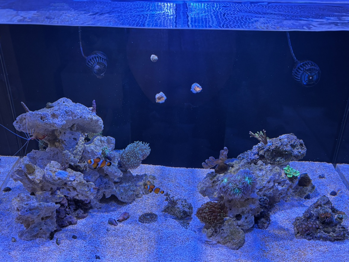Tank Image