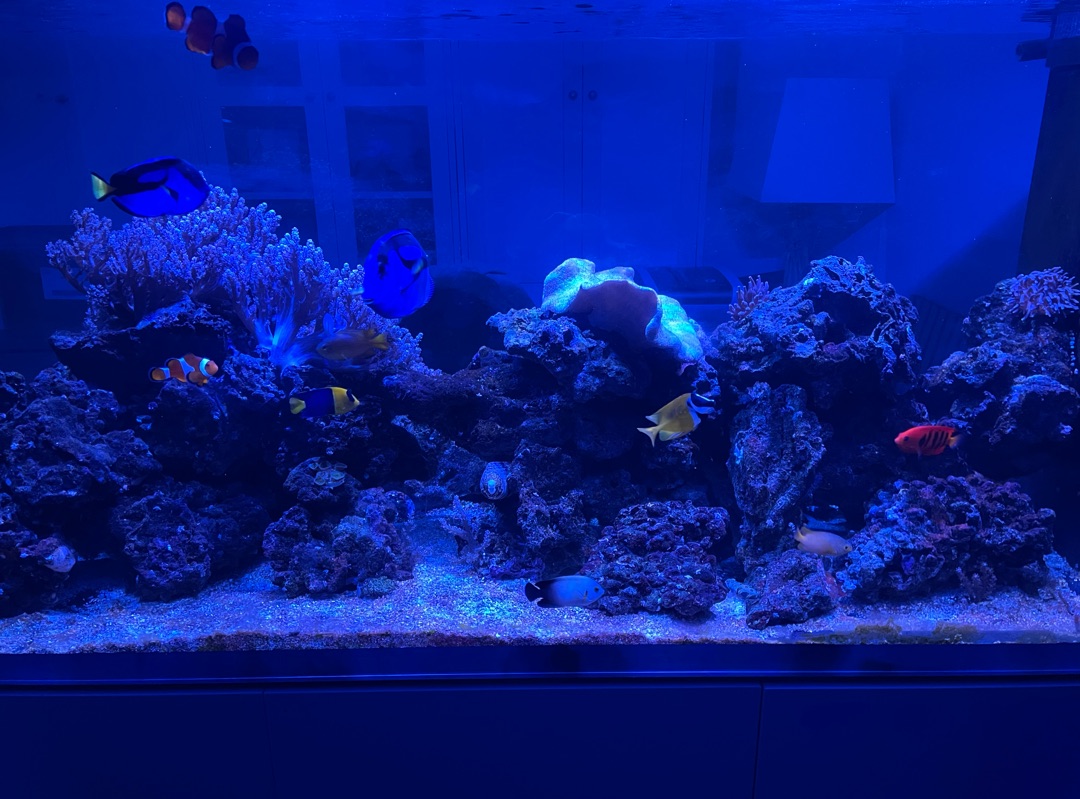 Tank Image