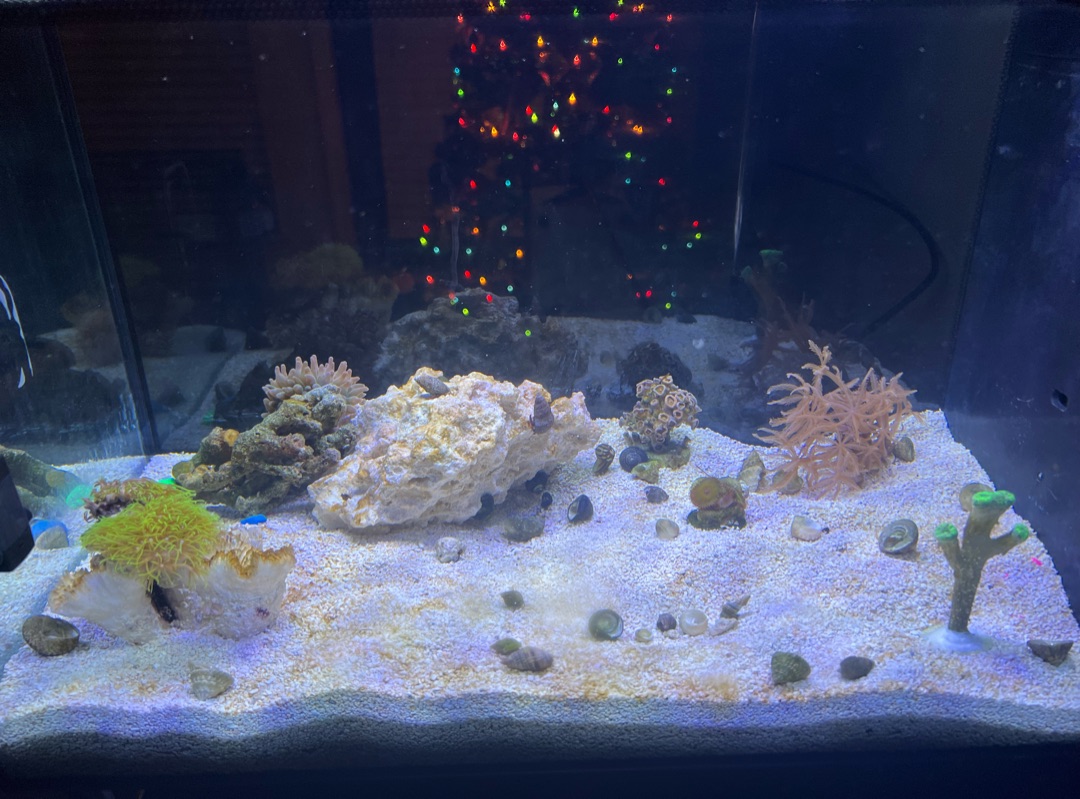 Tank Image