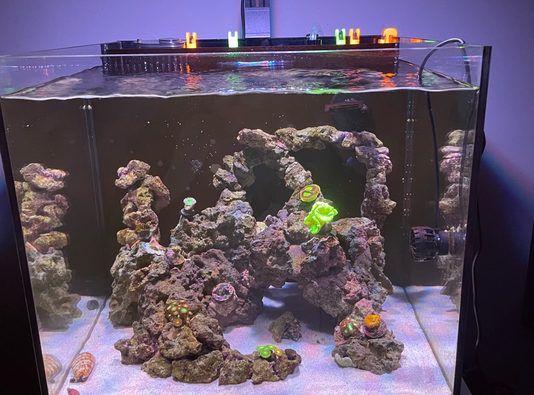 Tank Image