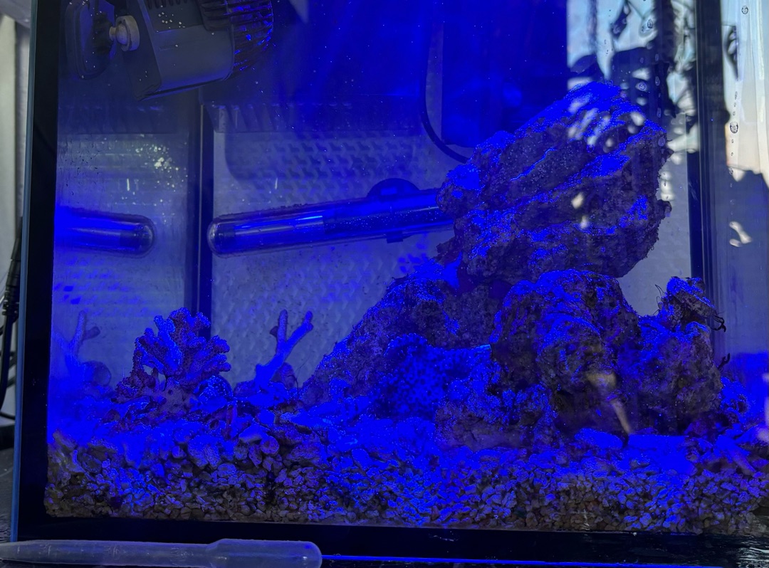 Tank Image