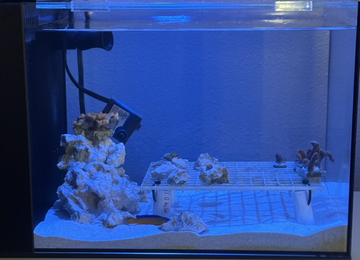 Tank Image